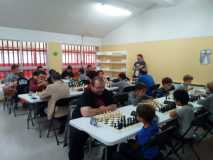 WBQL6313